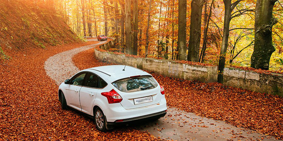 ⏰ Special Fast Rental Offer for the Weekend!